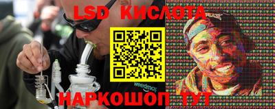 гидропоника Гатчина