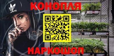 гидропоника Гагарин