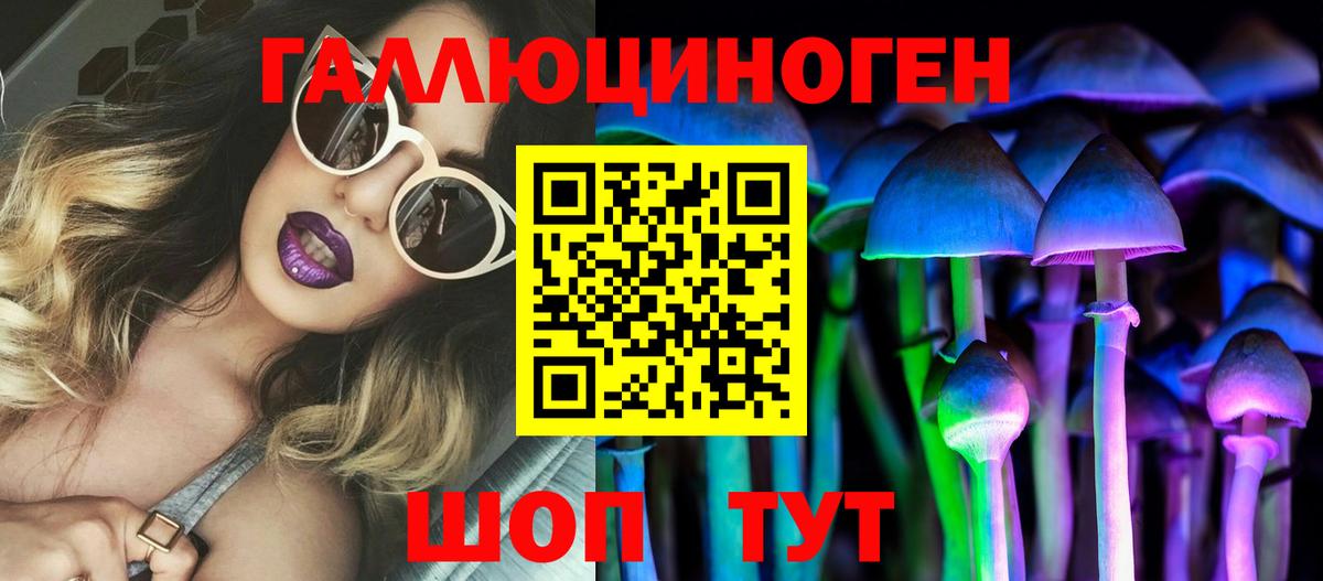 Псилоцибиновые грибы Psilocybine cubensis  Вход с VPN  Новокубанск  Псилоцибиновые грибы прущие грибы 