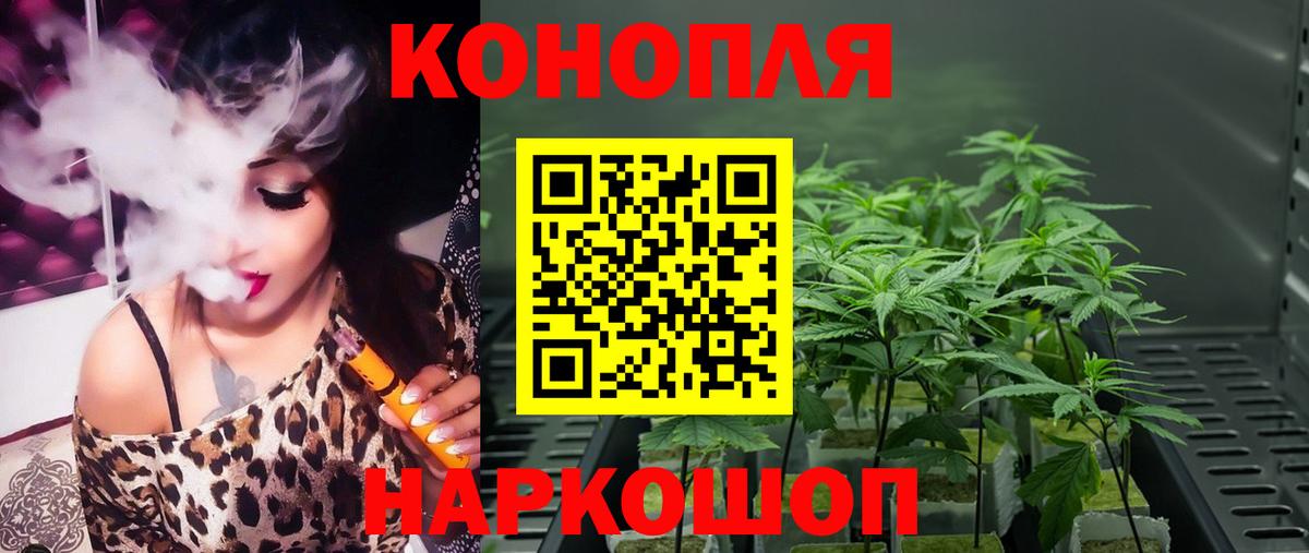 Бошки марихуана ГИДРОПОН  Вход с VPN  Шишки марихуана Bruce Banner  Новокубанск  Конопля планчик 